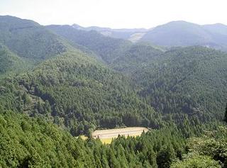 「野中の清水」から見える熊野の山々の中の水田